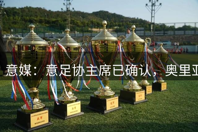意媒：意足协主席已确认，奥里亚利任领队，佐拉任协调官