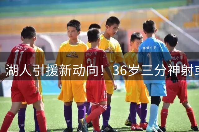湖人引援新动向！36岁三分神射或投奔紫金军团 父亲亲自牵线