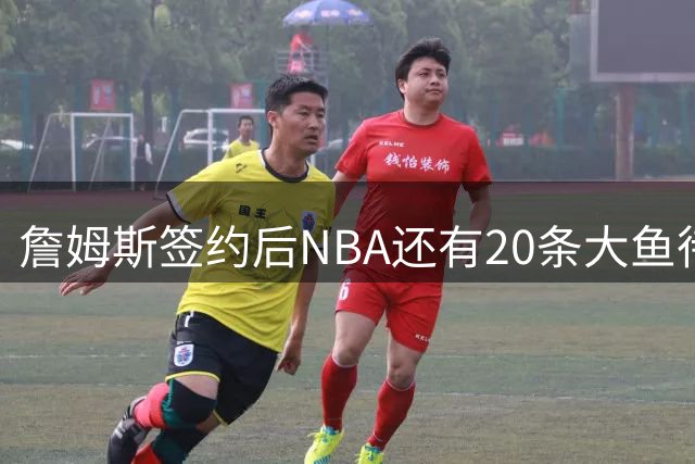 詹姆斯签约后NBA还有20条大鱼待捞：哈登杜伦领衔，超市刚开门