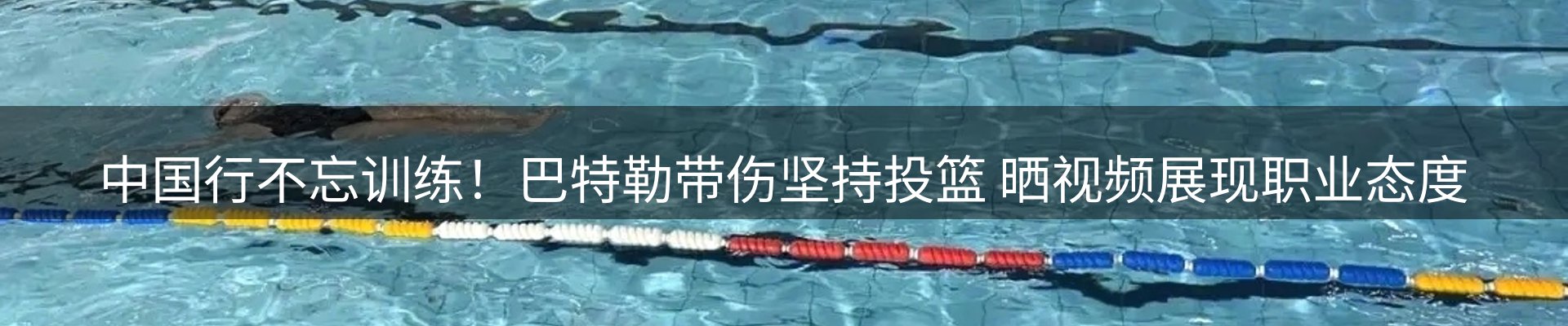 公司导读