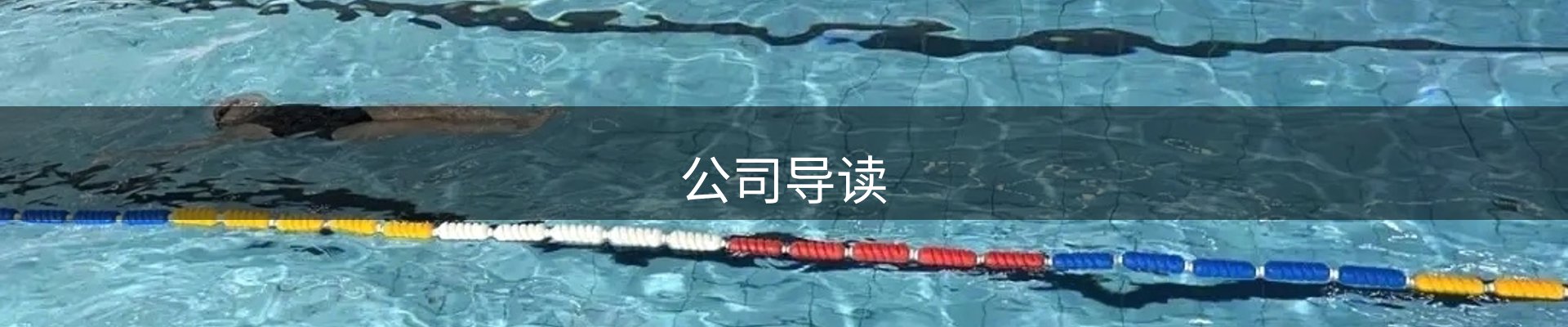 公司导读