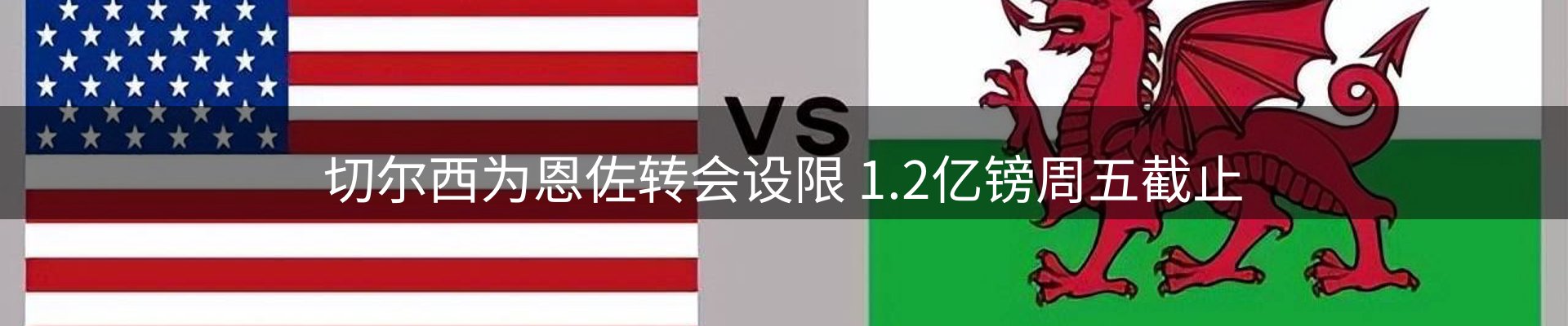 公司导读