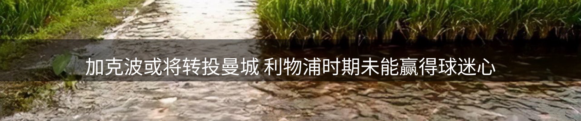公司导读