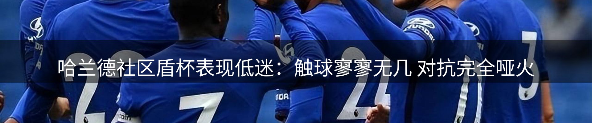 公司导读