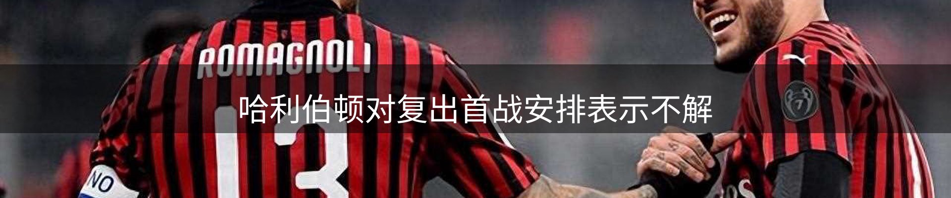 公司导读