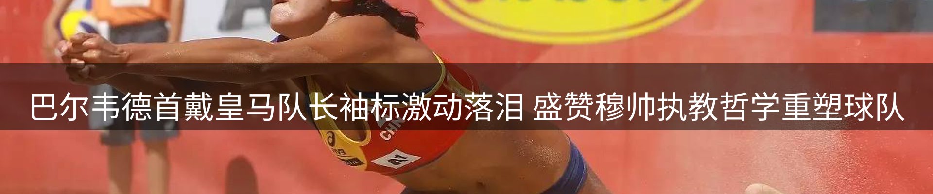 公司导读