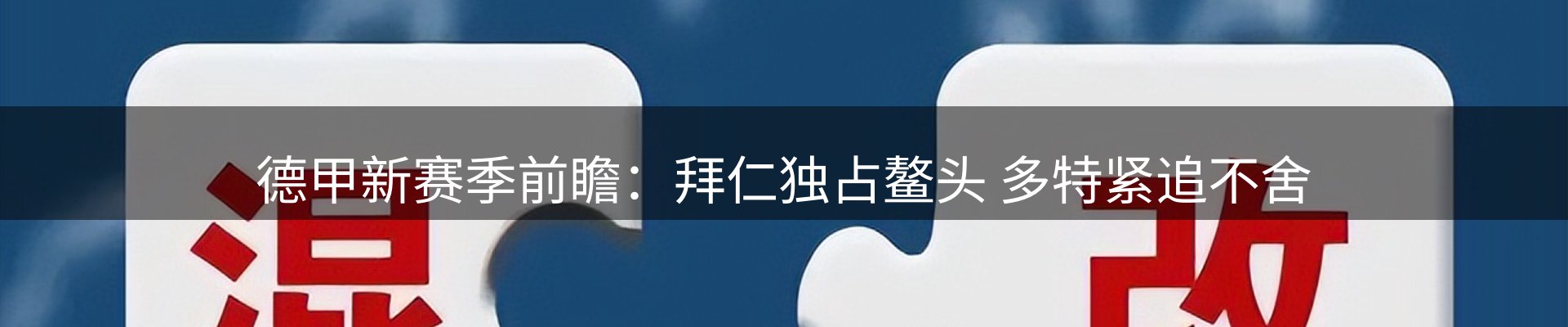 公司导读