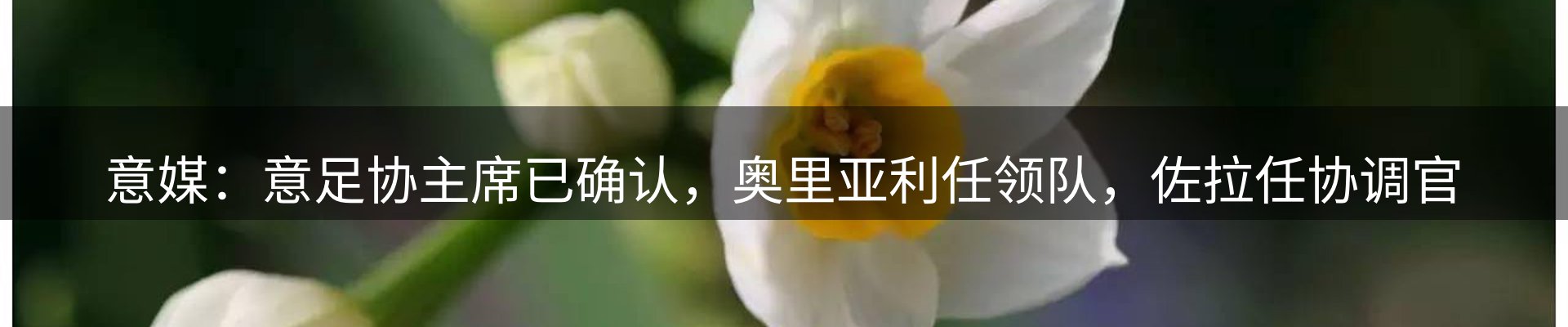 资讯动态