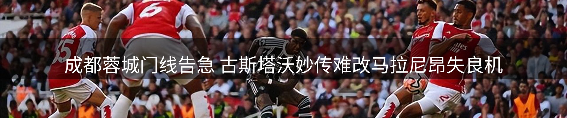 公司导读