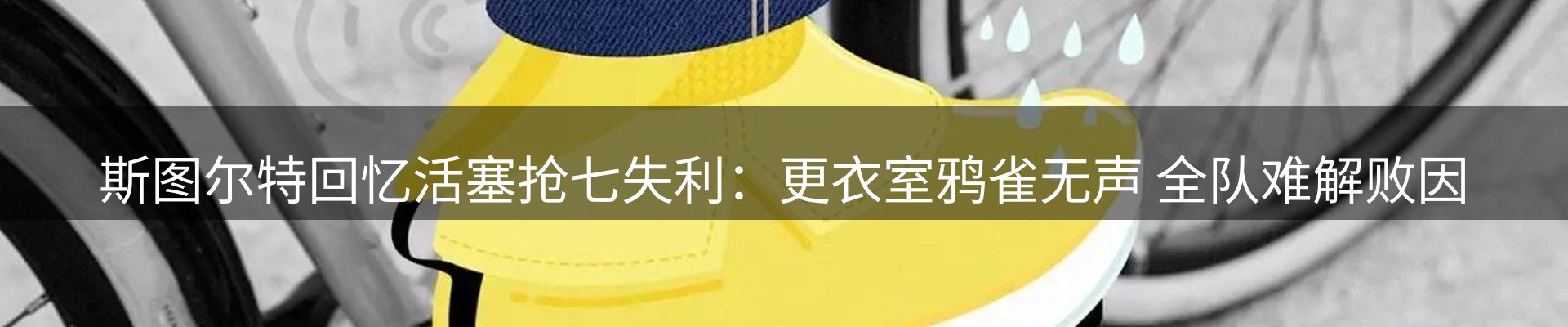 公司导读