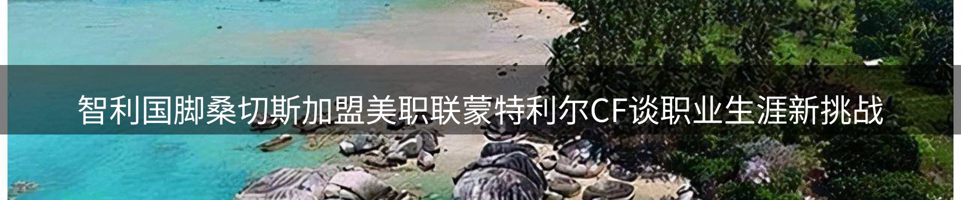 公司导读