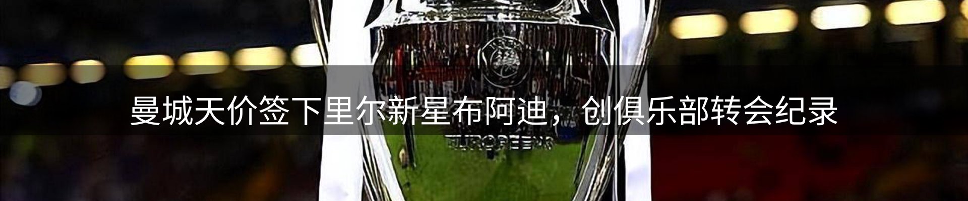 公司导读