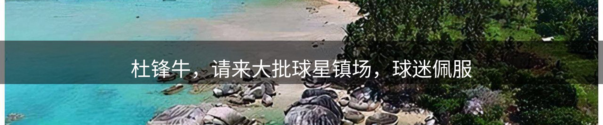 资讯动态