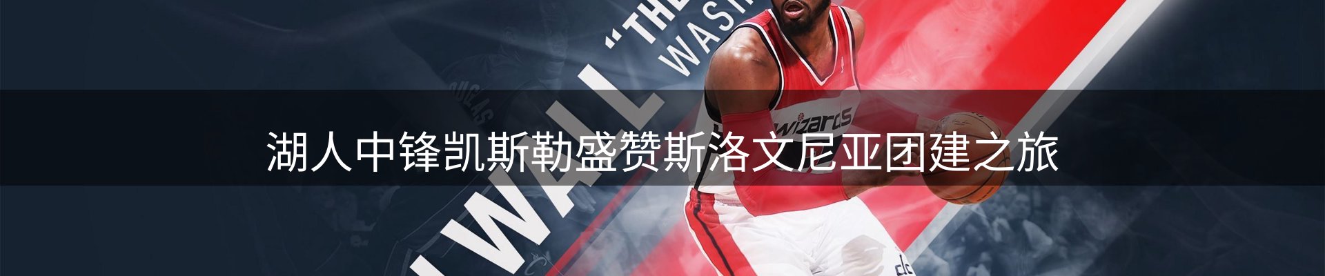 公司导读