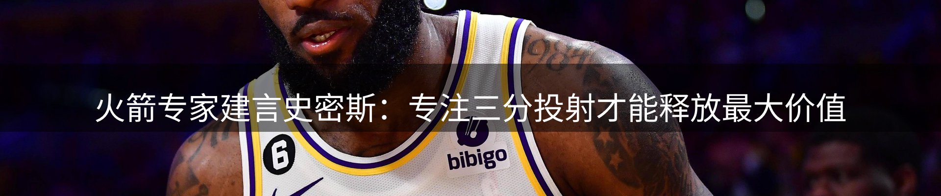 公司导读