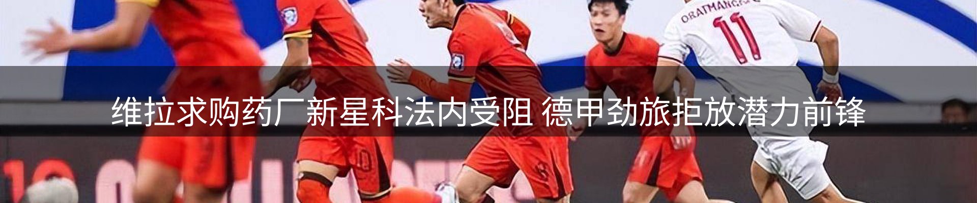 公司导读