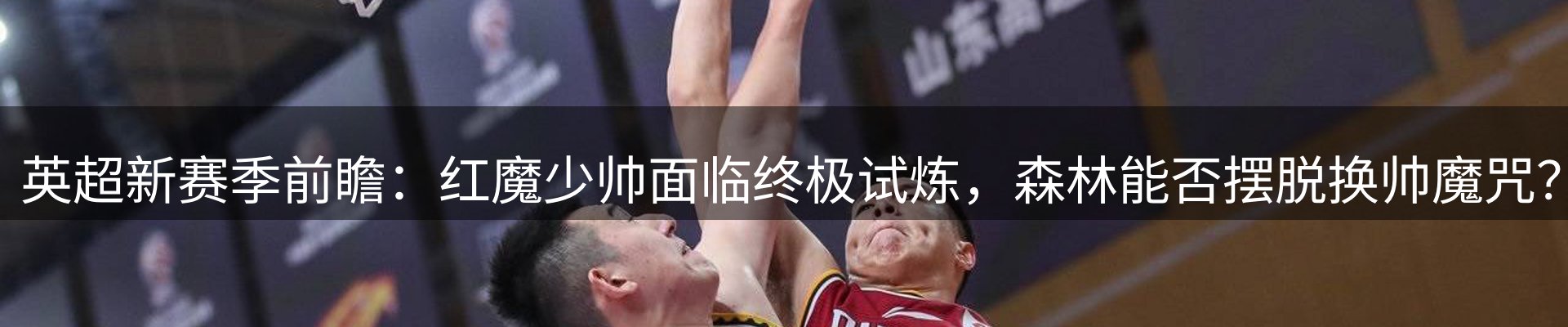 公司导读