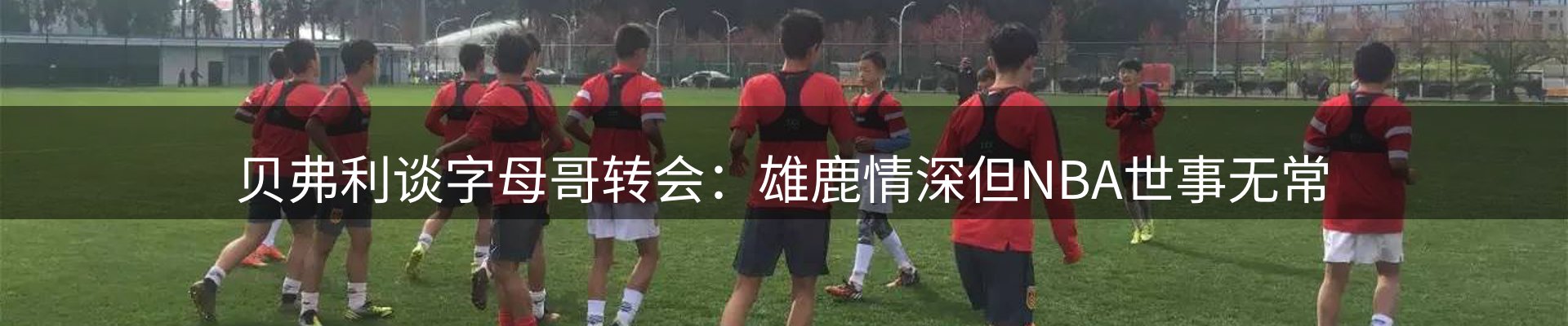 公司导读