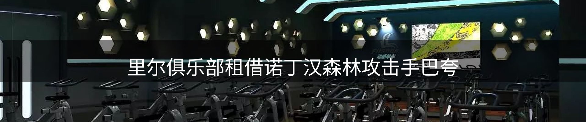 公司导读